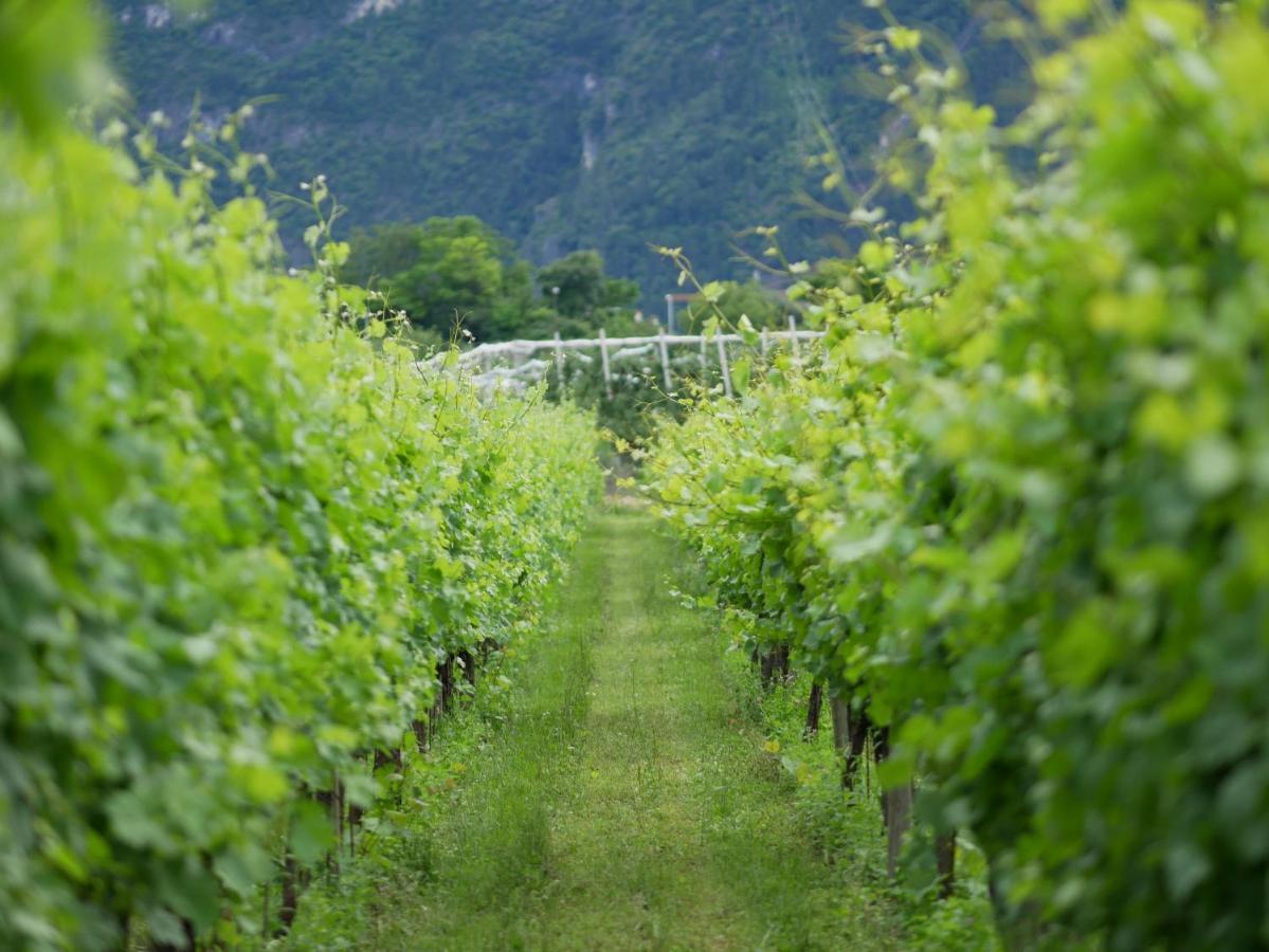 Agriturismo Casa Di Campagna Riva del Garda Exterior foto
