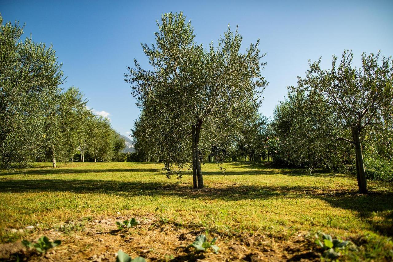 Agriturismo Casa Di Campagna Riva del Garda Exterior foto