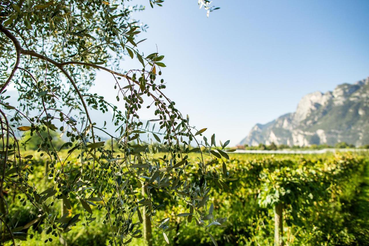 Agriturismo Casa Di Campagna Riva del Garda Exterior foto
