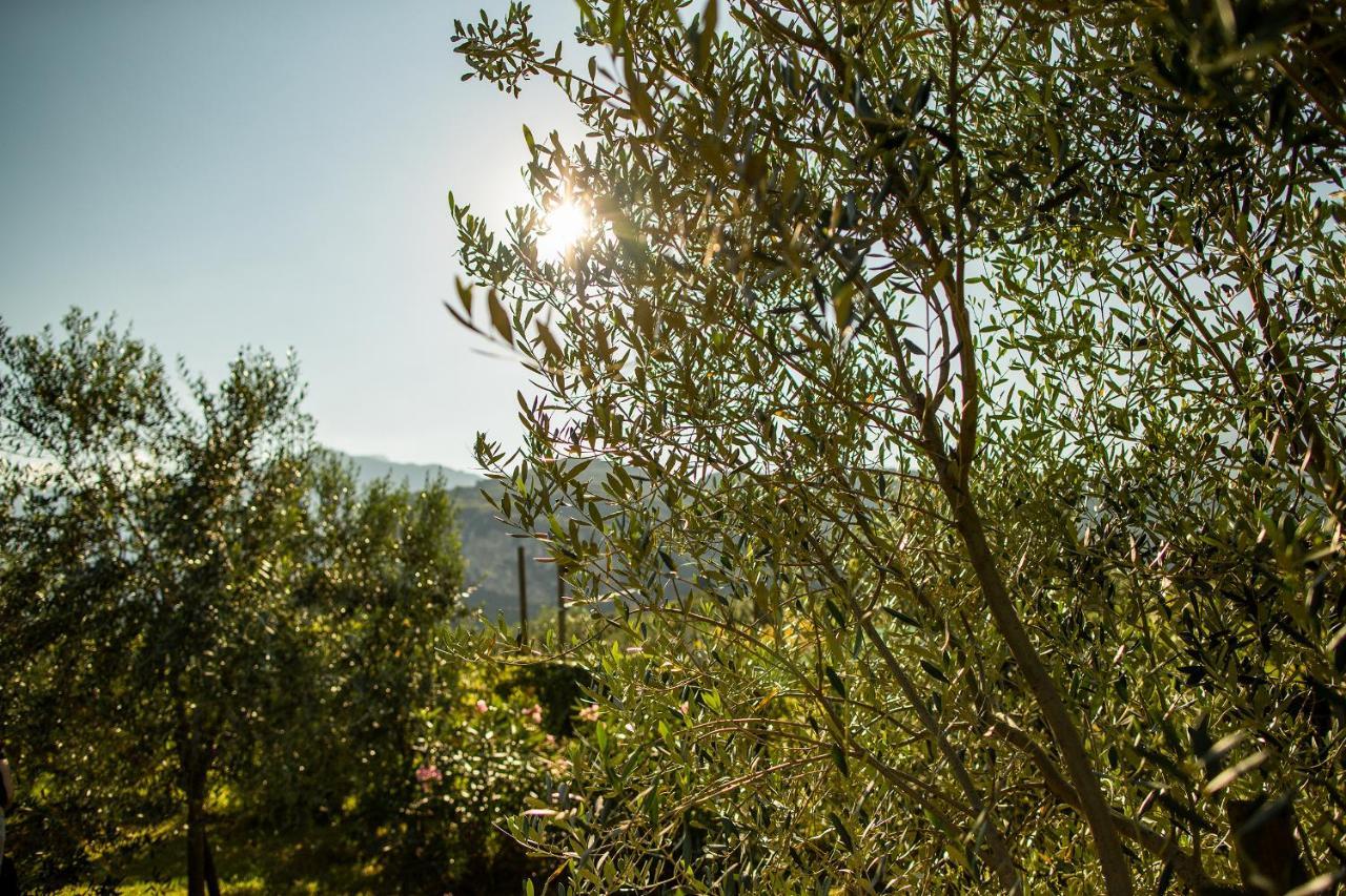 Agriturismo Casa Di Campagna Riva del Garda Exterior foto