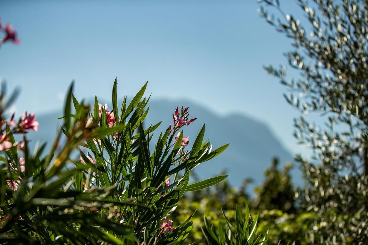 Agriturismo Casa Di Campagna Riva del Garda Exterior foto